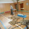 dscn0117 - kopie